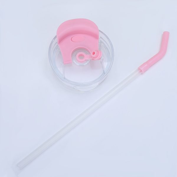 3 pcs Bottle Set With Straw (random Color)